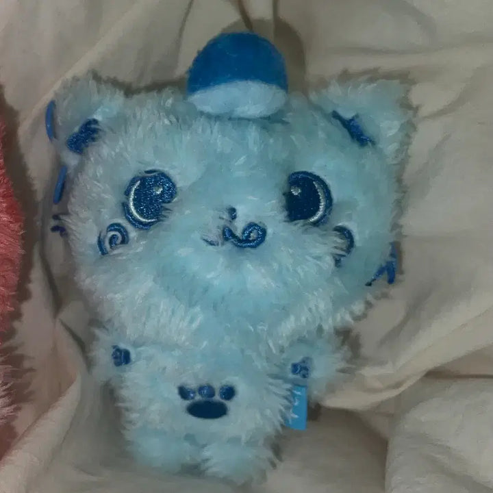 [BUNJANG] Wishdoll Color Doll Riku Kuri Blue / 위시돌 컬러돌 리쿠 쿠리 블루