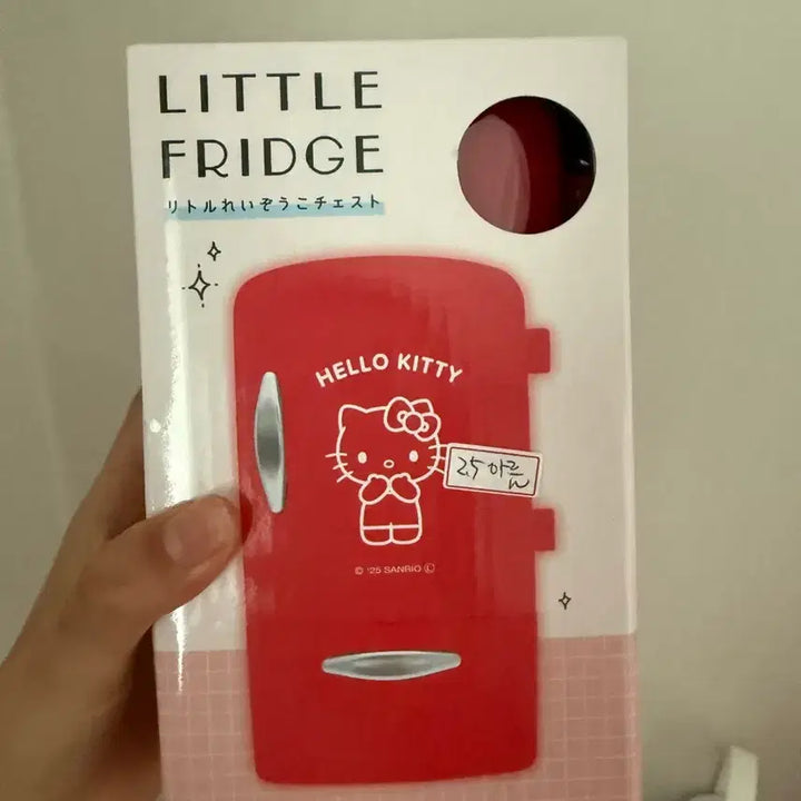 [BUNJANG] Hello Kitty Refrigerator Coin Bank / 헬로키티 냉장고 저금통