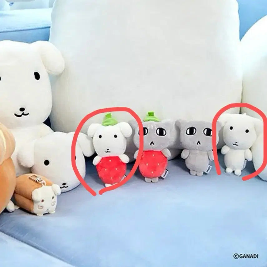 [BUNJANG] Ganadi Doll Bundle Set / 가나디 인형 키링[일괄]