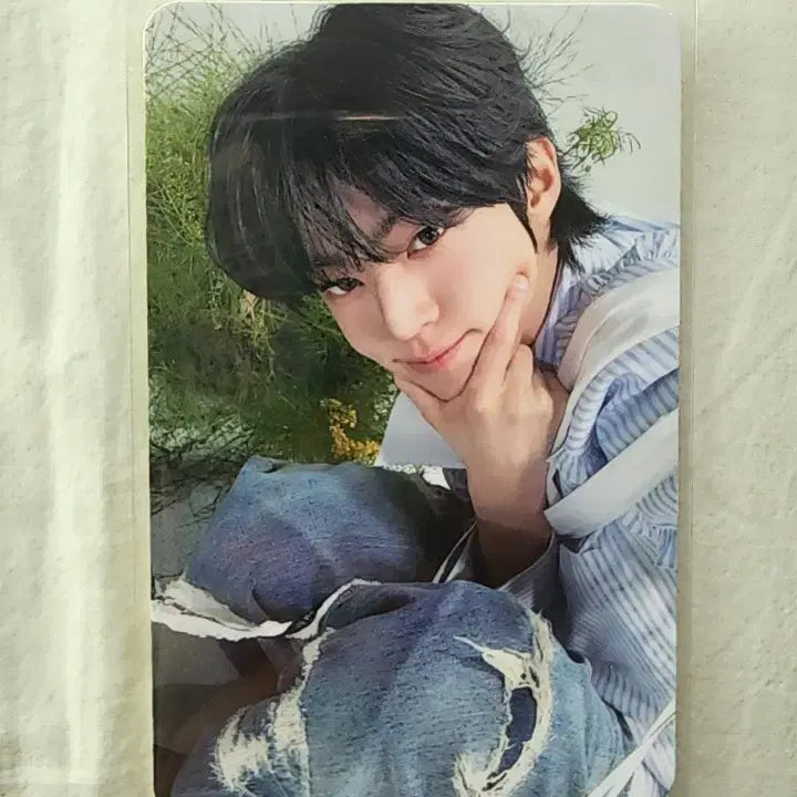 [BUNJANG] TWS Dohun Album Photocard / 투어스 도훈 앨범포카