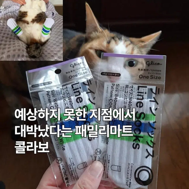 [BUNJANG] Family Mart x Pappico Collaboration Pet Sweaters / 패밀리마트 파피코 스웨터 빠삐코 수트 양말