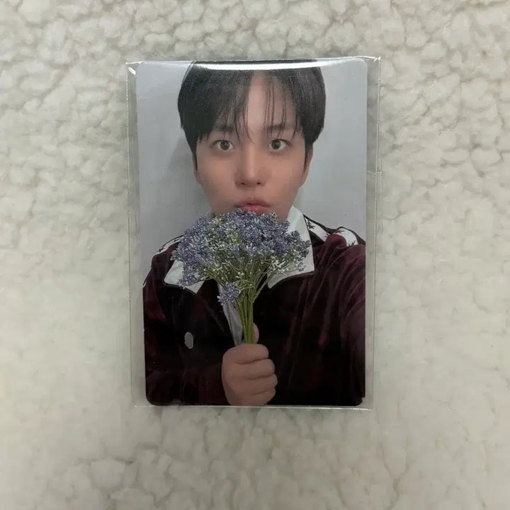 [BUNJANG] ATEEZ Jongho Aniteez Popup Exclusive Photocard / 에이티즈 종호 애니티즈 팝업 10만원 특전 포카