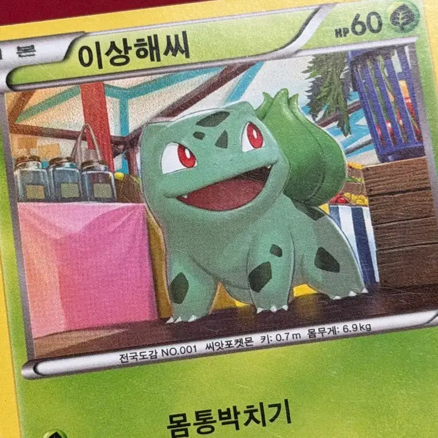 [BUNJANG] Vintage Pokemon Rare Card Bulbasaur BW / 귀여운 포켓몬 고전 희귀 카드 이상해씨 BW