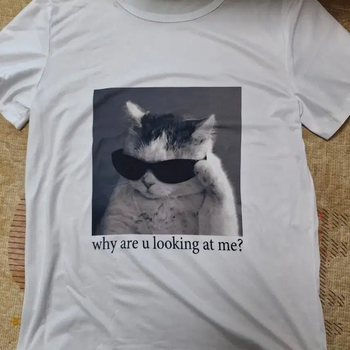 [BUNJANG] Cat Print Short Sleeve T-Shirt / 고양이 반팔티 새옷새옷이에요66정도 되요중국제품이라 품질은 그냥그래