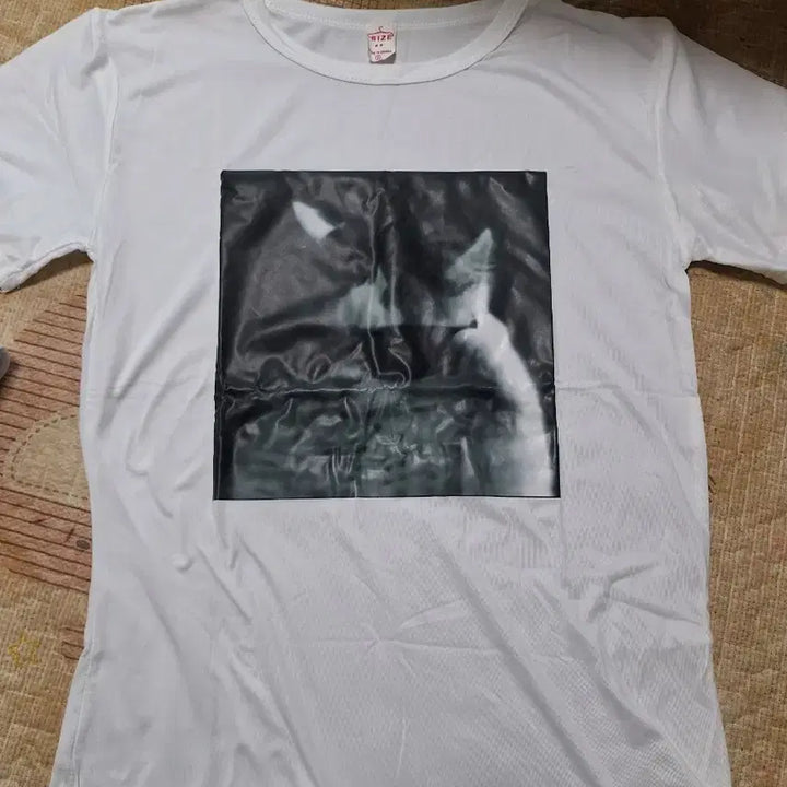 [BUNJANG] Cat Print Short Sleeve T-Shirt / 고양이 반팔티 새옷새옷이에요66정도 되요중국제품이라 품질은 그냥그래