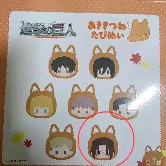 [SOLD OUT] 진격의 거인 아키키츠네 한지 타피누이