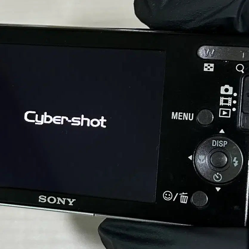 [BUNJANG] Sony Cyber-shot DSC-W190 Digital Camera / 소니 사이버샷 DSC-W190 디카
