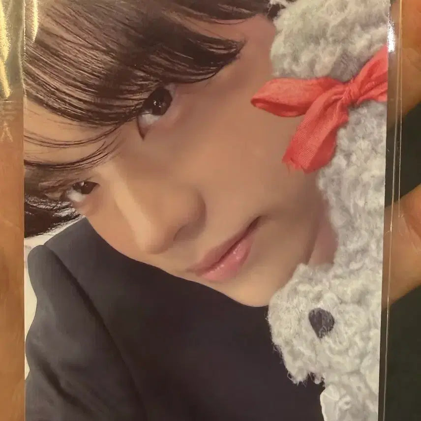 [BUNJANG] TWS NO TRAGEDY 5th Mini Album Compact Weverse Lucky Draw Shinyu / 투어스 No tragedy 5집 컴팩트 위버스 럭드 신유 양도