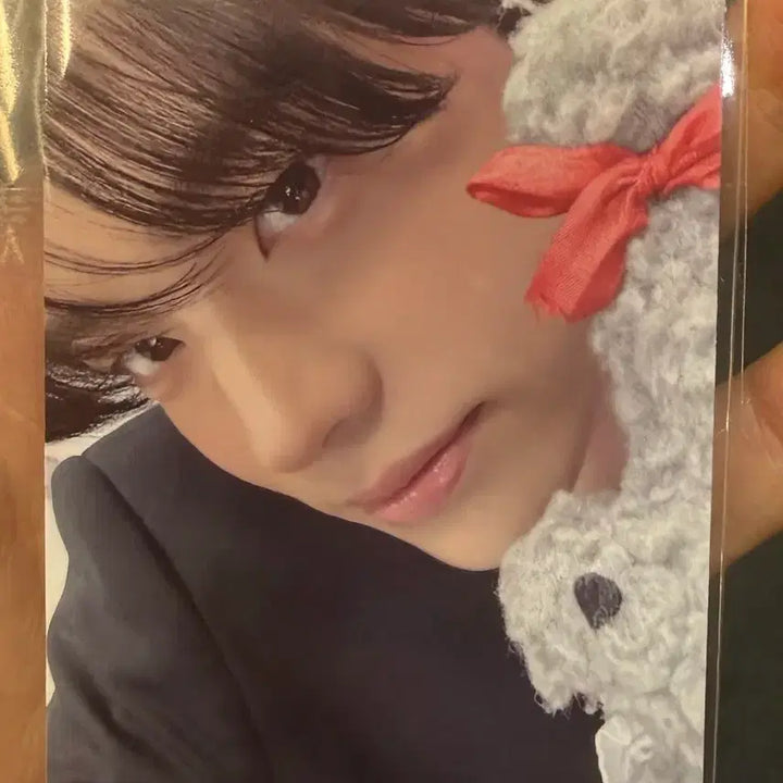 [BUNJANG] TWS NO TRAGEDY 5th Mini Album Compact Weverse Lucky Draw Shinyu / 투어스 No tragedy 5집 컴팩트 위버스 럭드 신유 양도