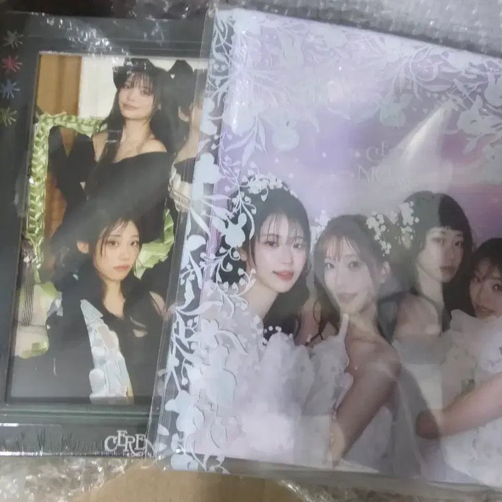 [BUNJANG] QWER Sealed Album Set / (미개봉) QWER 앨범 세트
