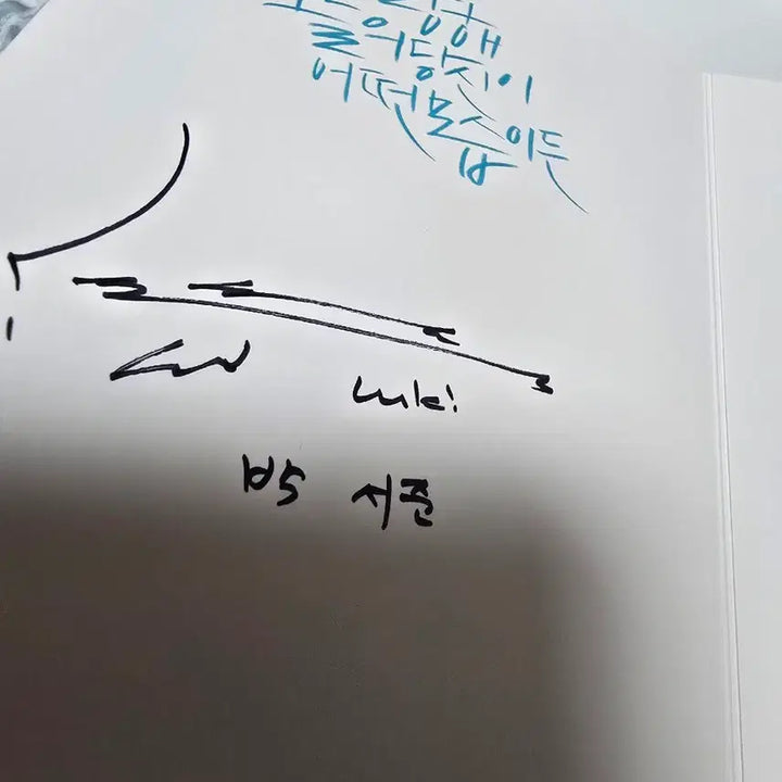 [BUNJANG] The Beauty Inside DVD / 뷰티인사이드 DVD