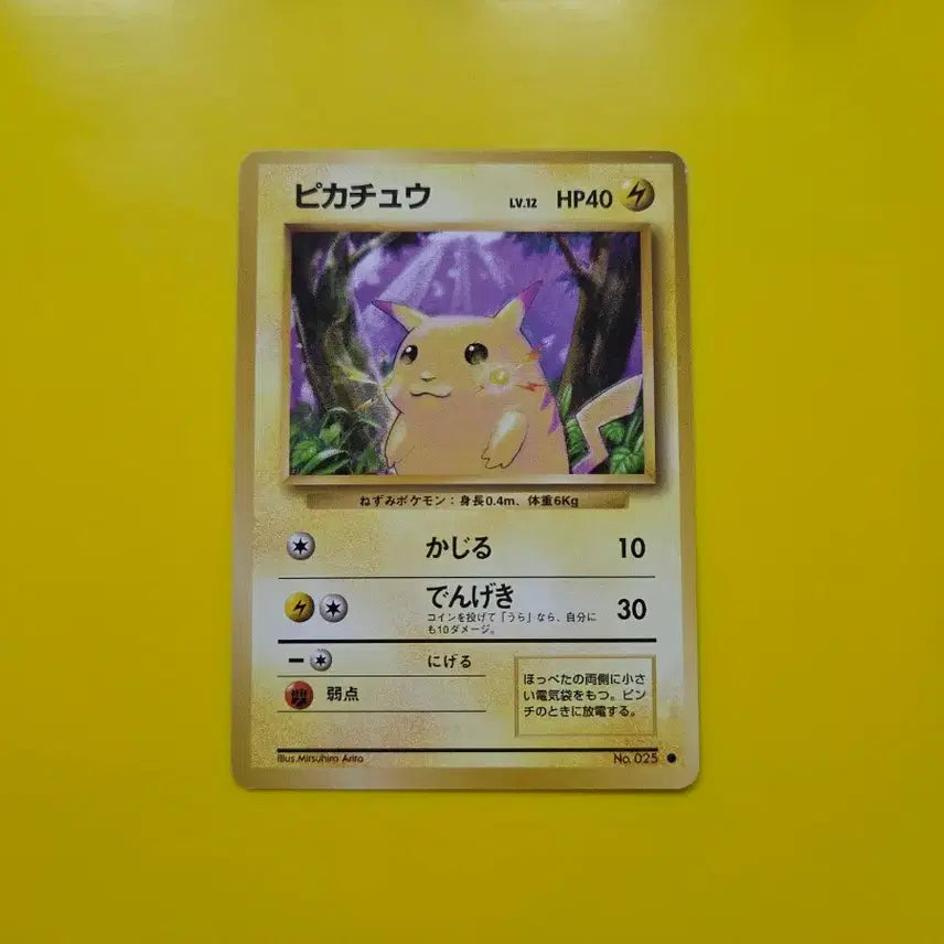 [BUNJANG] Pokemon Card 1996 Pikachu Japanese / 포켓몬카드 1996 큰 피카츄 일판 일본판8