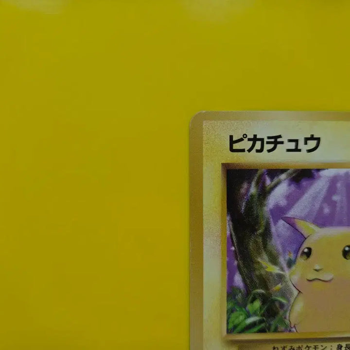 [BUNJANG] Pokemon Card 1996 Pikachu Japanese / 포켓몬카드 1996 큰 피카츄 일판 일본판8