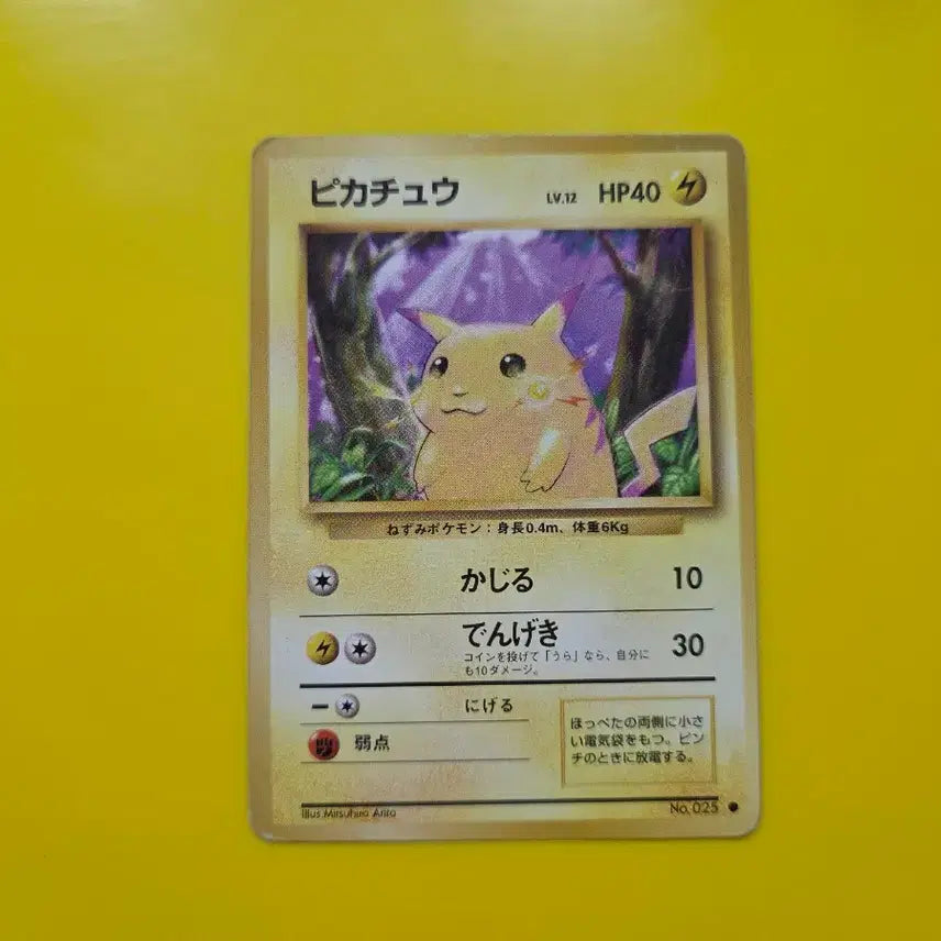 [BUNJANG] Pokemon Card Pikachu Japanese 1996 / 포켓몬카드 1996 큰 피카츄 일판 일본판9