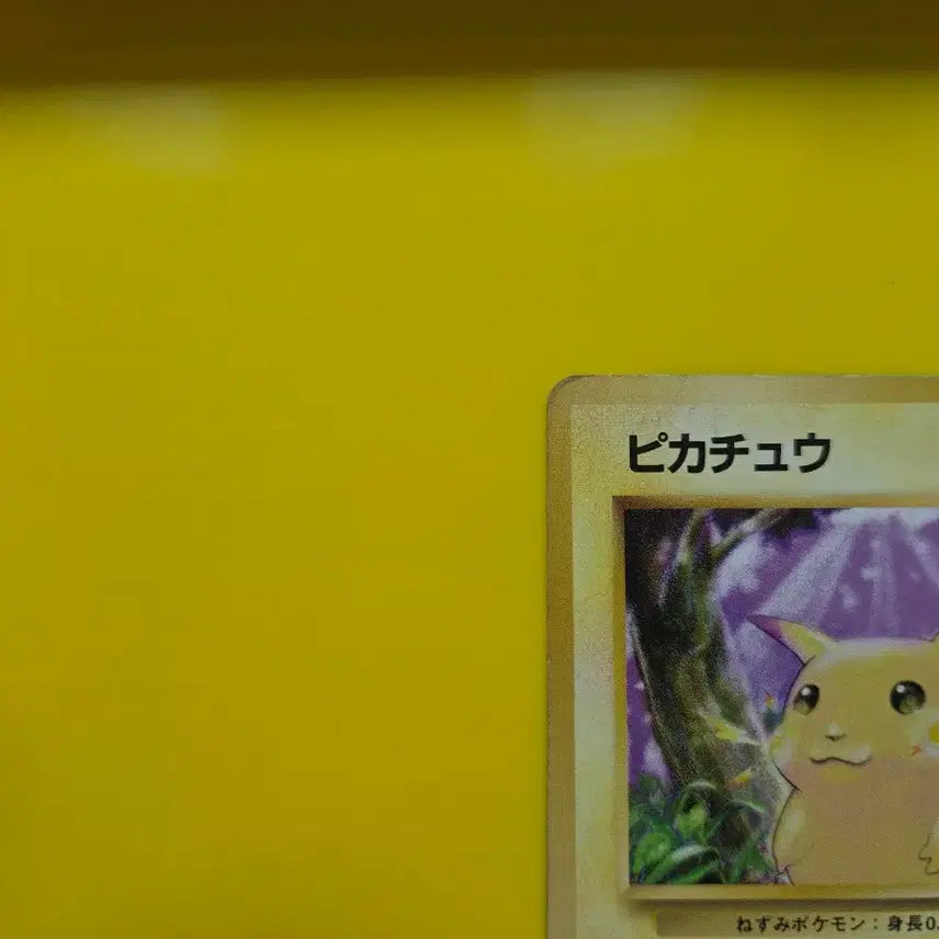 [BUNJANG] Pokemon Card Pikachu Japanese 1996 / 포켓몬카드 1996 큰 피카츄 일판 일본판9