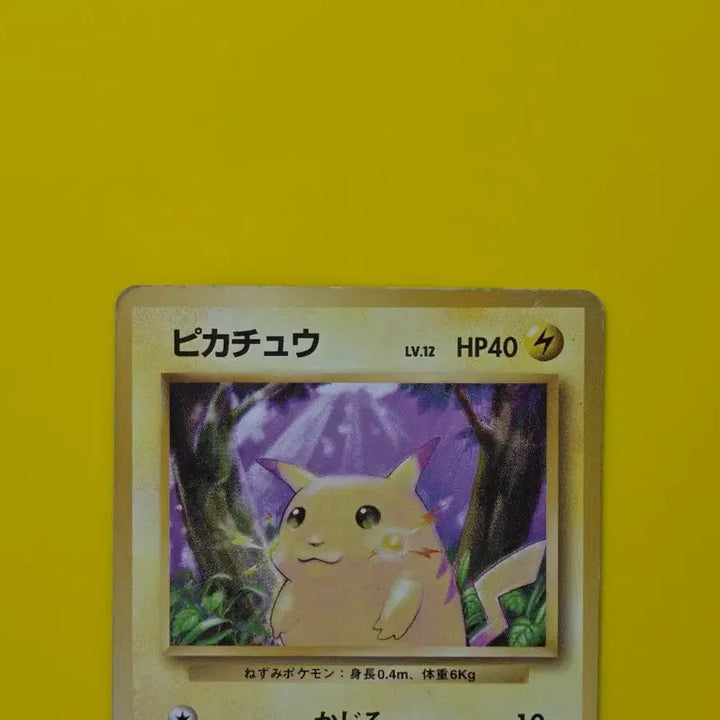 [BUNJANG] Pokemon Card 1996 Large Pikachu Japanese / 포켓몬카드 1996 큰 피카츄 일판 일본판9