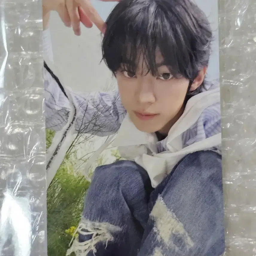 [BUNJANG] TWS NO TRAGEDY Album Dohyun Photocard / 투어스 NO TRAGEDY 앨범 도훈 포카