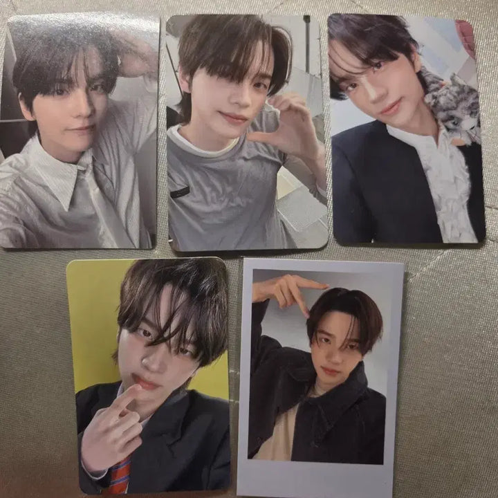 [BUNJANG] TWS Shinyu Photocard Bundle Set / 투어스 신유 포토카드 일괄
