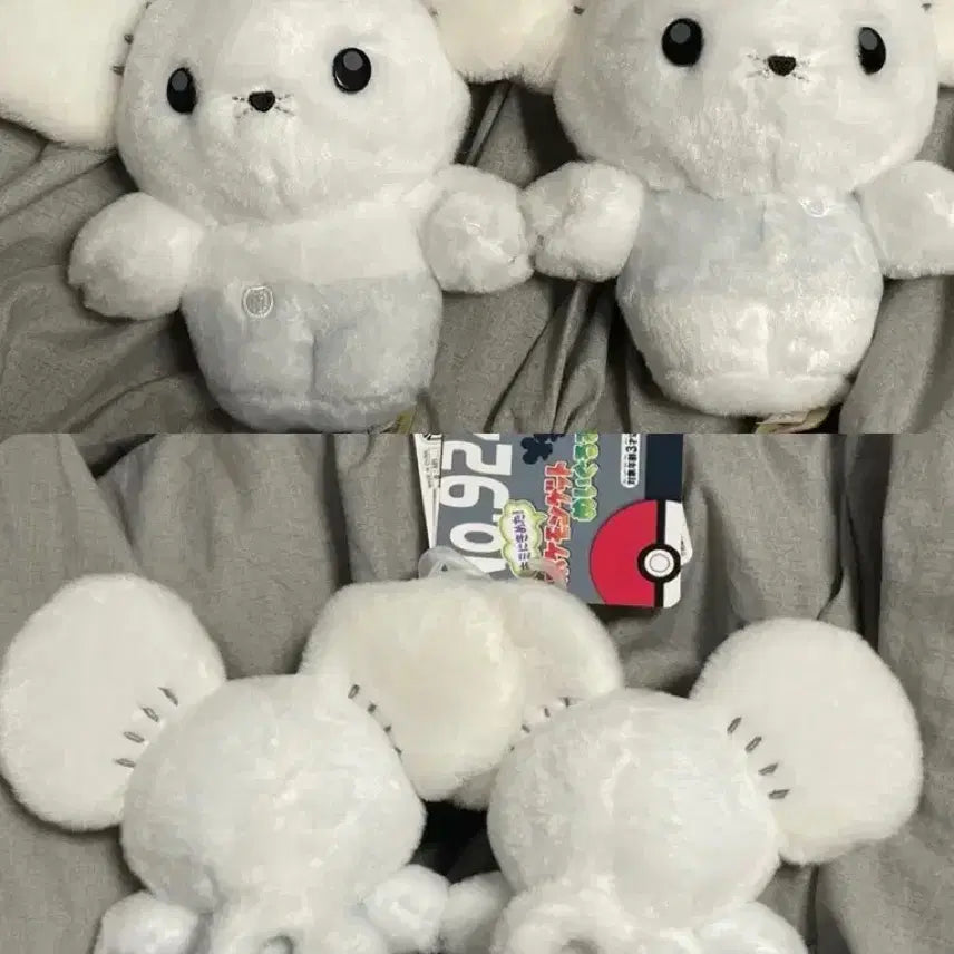 [BUNJANG] Official Pokemon Sentret Plush / 포켓몬 두리쥐 센터 인형