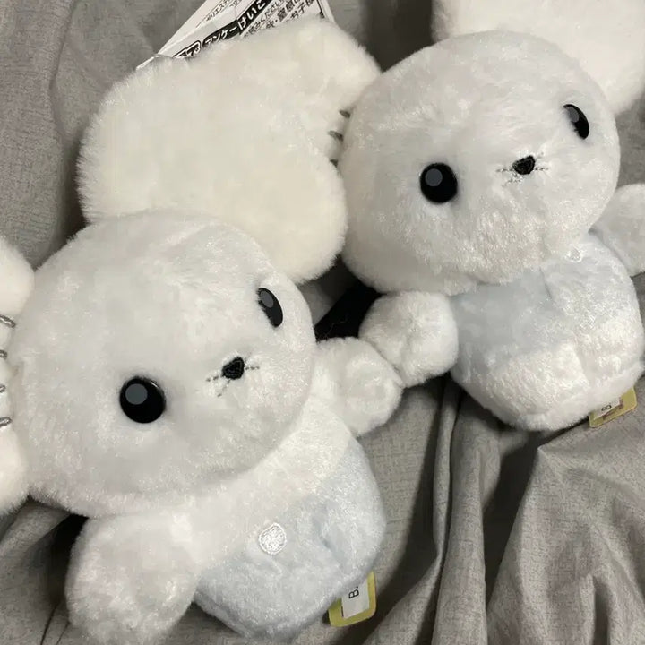 [BUNJANG] Official Pokemon Sentret Plush / 포켓몬 두리쥐 센터 인형