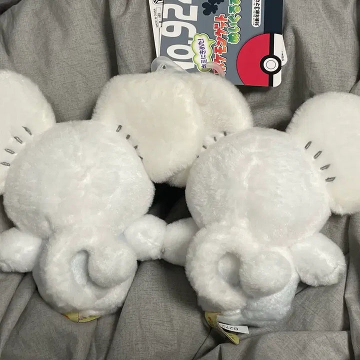 [BUNJANG] Official Pokemon Sentret Plush / 포켓몬 두리쥐 센터 인형