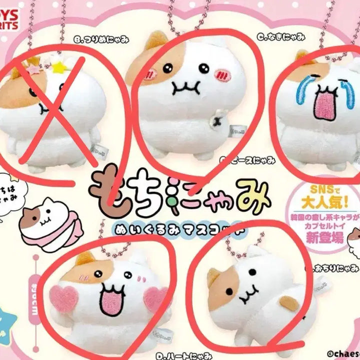 [BUNJANG] Mochinyami Gacha Random Doll Keychain / 쫀냐미 가챠 랜덤 인형 키링 모찌냐미