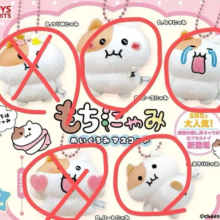 [BUNJANG] Mochinyami Gacha Random Doll Keychain / 쫀냐미 가챠 랜덤 인형 키링 모찌냐미
