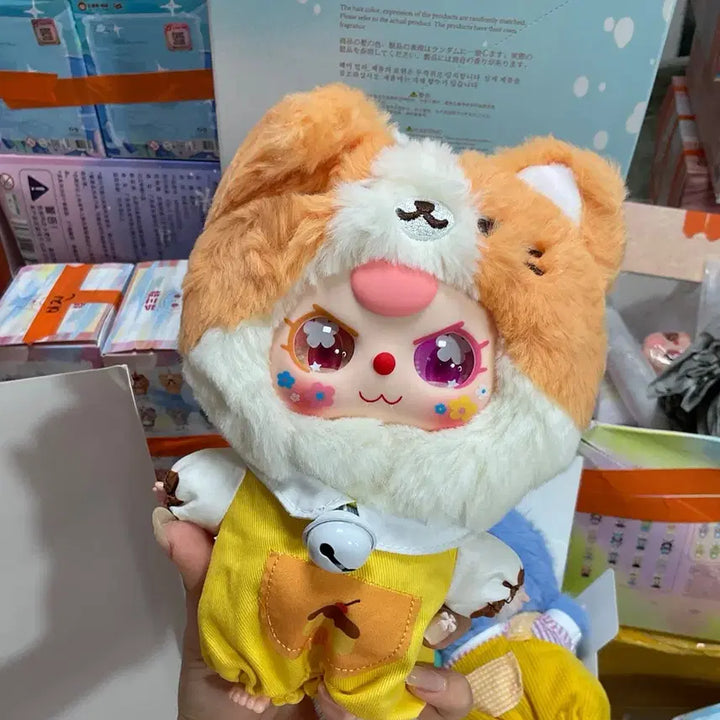 [BUNJANG] Baby3 Cat Wardrobe Cardbox / 베이비쓰리 고양이옷장 카드박스o