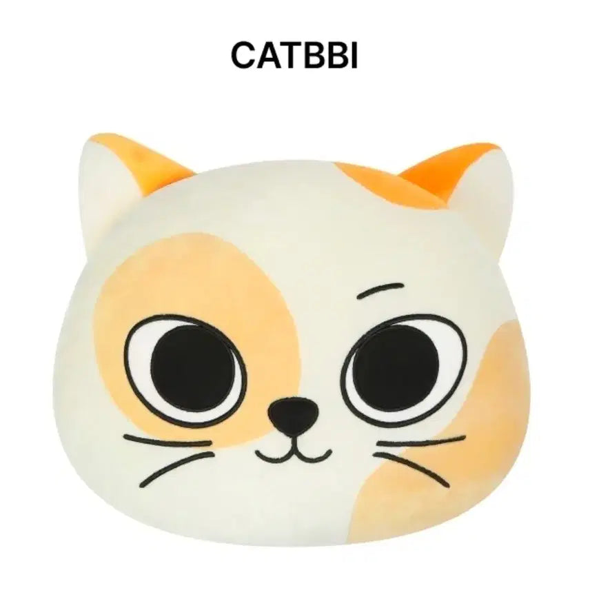 [BUNJANG] BOYNEXTDOOR Cat Face Cushion / 보넥도 쁘넥도 캣삐 얼굴 쿠션 양도
