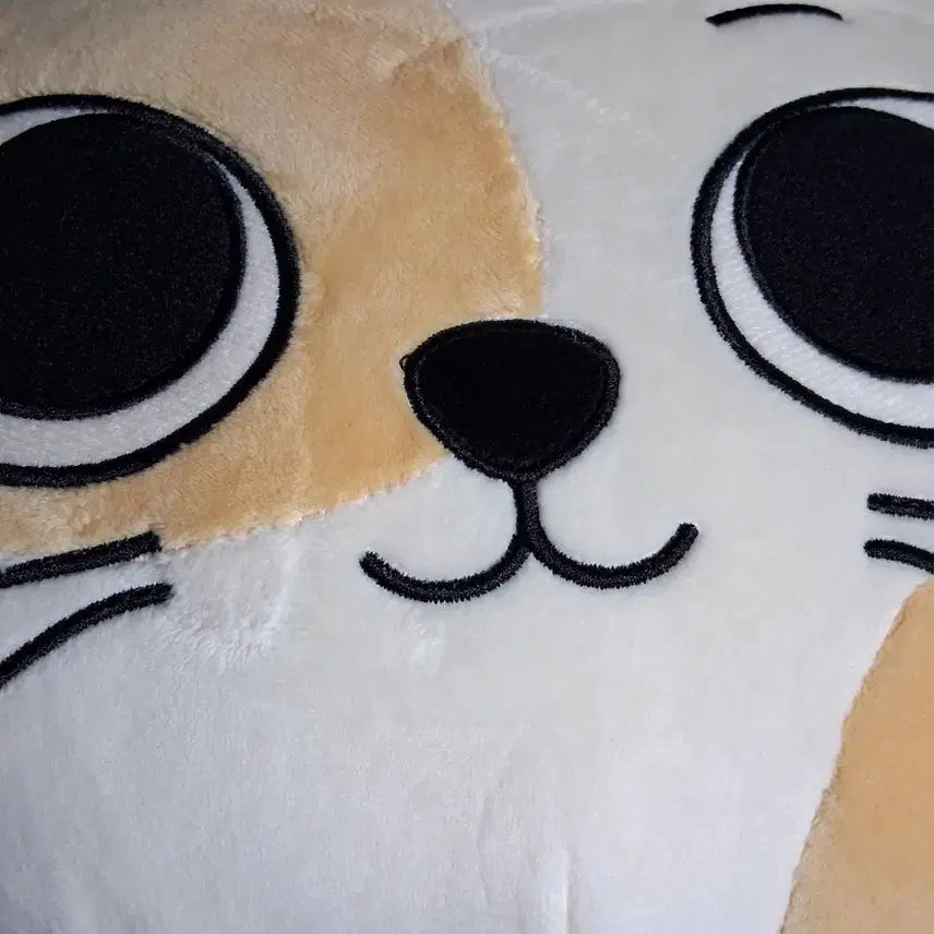 [BUNJANG] BOYNEXTDOOR Cat Face Cushion / 보넥도 쁘넥도 캣삐 얼굴 쿠션 양도