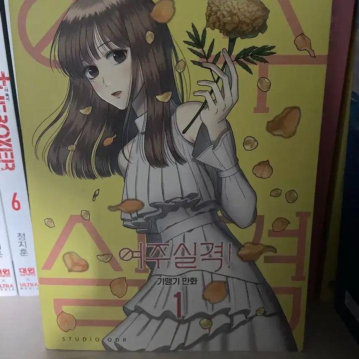 [BUNJANG] Unwanted Hero Webtoon Full Set Volumes 1-8 / 여주실격! 웹툰 전권 세트