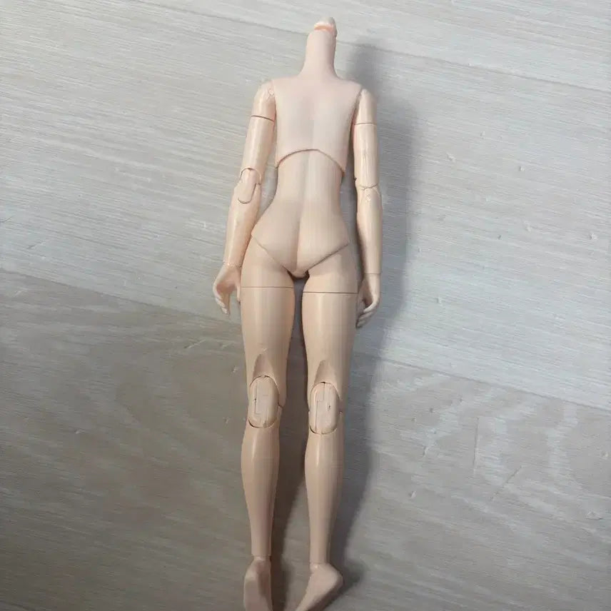 [BUNJANG] Obitsu 22 Body / 오비츠22 바디