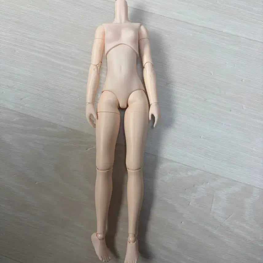 [BUNJANG] Obitsu 22 Body / 오비츠22 바디