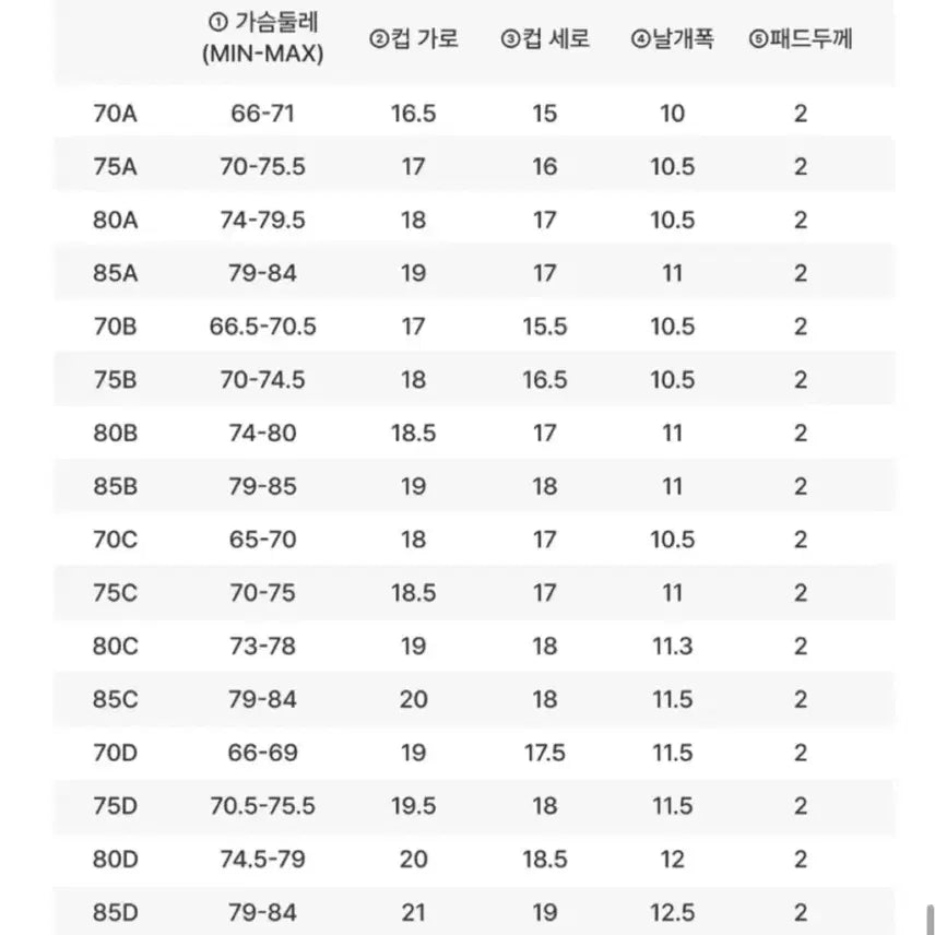 [BUNJANG] Dorothy &amp; Tsumer Jjonjjon Seamless Volume Bra White 75A / 도로시와 츠메르 쫀쫀 심리스 볼륨브라