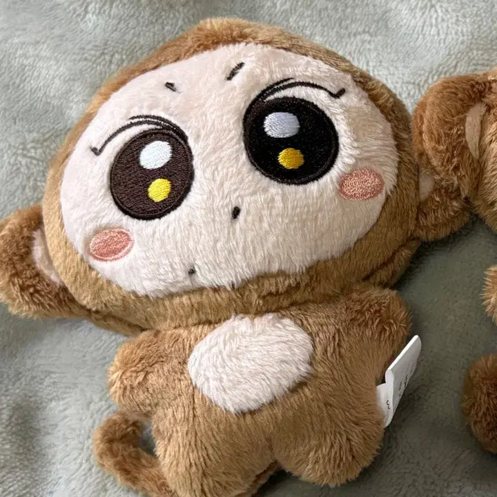[BUNJANG] ENHYPEN Jungwon "Jjungsung" Plush Doll / 엔하이픈 정원 인형 쩡숭이 판매