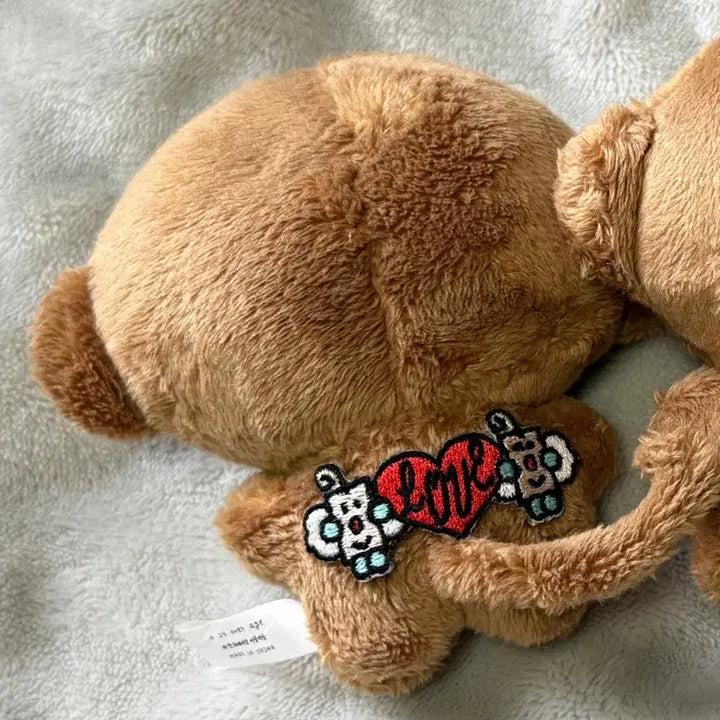 [BUNJANG] ENHYPEN Jungwon "Jjungsung" Plush Doll / 엔하이픈 정원 인형 쩡숭이 판매