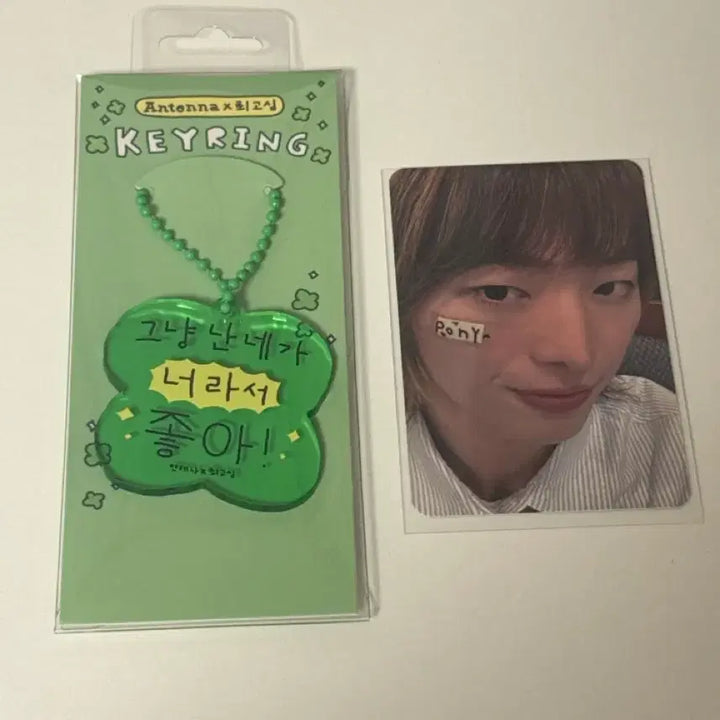 [BUNJANG] DragonPony Choi Shin Keyring Kihyun / 드래곤포니 최고심 키링 세혁
