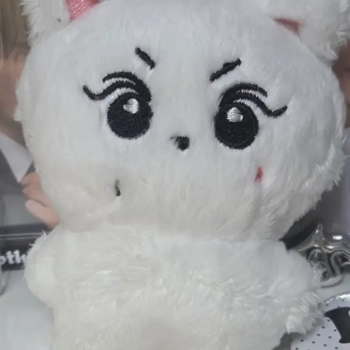 [BUNJANG] ENHYPEN Jungwon Lamb Plush Doll / 쿨거시반택포) 엔하이픈 양정원 양꼬미 인형