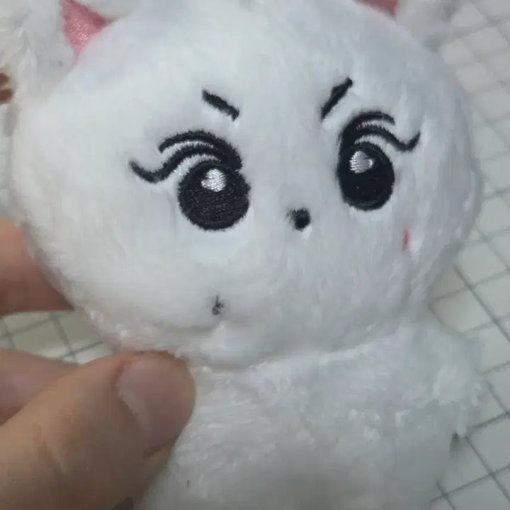 [BUNJANG] ENHYPEN Jungwon Lamb Plush Doll / 쿨거시반택포) 엔하이픈 양정원 양꼬미 인형