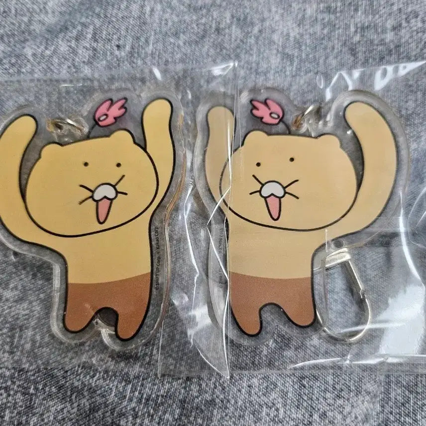 [BUNJANG] Kakao Friends x Dororong Chun-Sik Acrylic Keyring Bundle Set / 카카오x도로롱 팝업 춘식이 키링 일괄