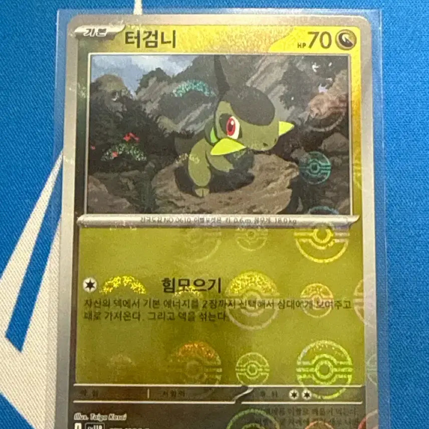 [BUNJANG] Pokemon Card, Torkoal, Monster Ball Hologram / 포켓몬카드 터검니 몬스터볼 홀로그램