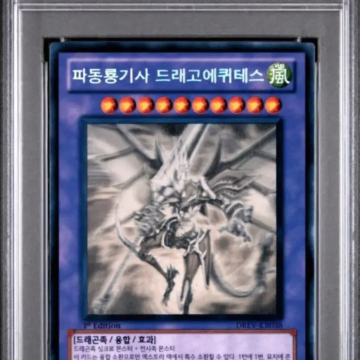[BUNJANG] Yu-Gi-Oh! Wave Dragon Knight Perforated Holo (1st Holographic Rare) PSA 8 / 유희왕 PSA8  파동룡기사  퍼홀 (1st 홀로그래픽레어)