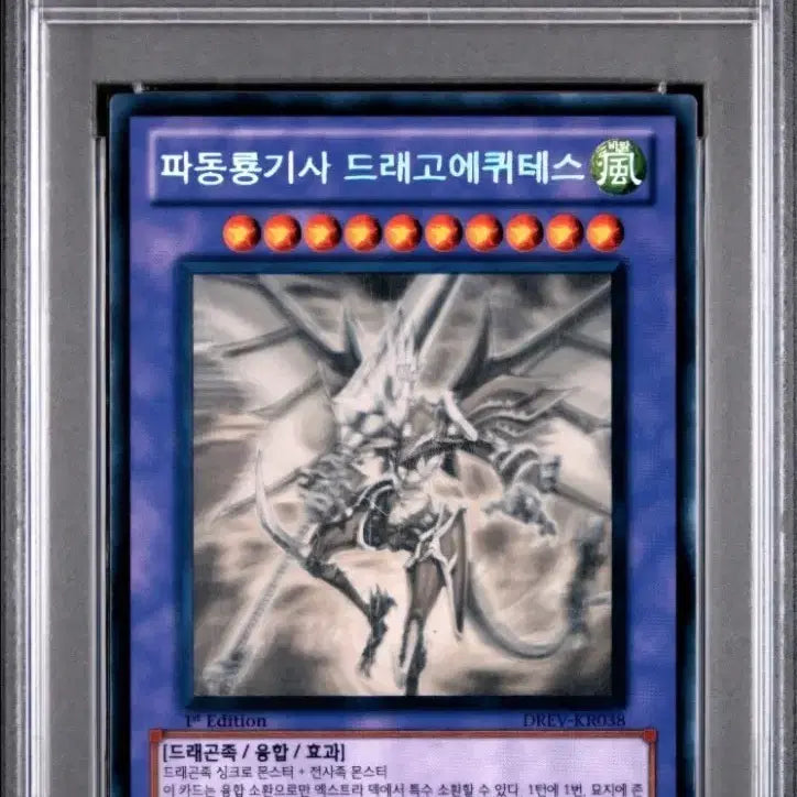 [BUNJANG] Yu-Gi-Oh! Wave Dragon Knight Perforated Holo (1st Holographic Rare) PSA 8 / 유희왕 PSA8  파동룡기사  퍼홀 (1st 홀로그래픽레어)