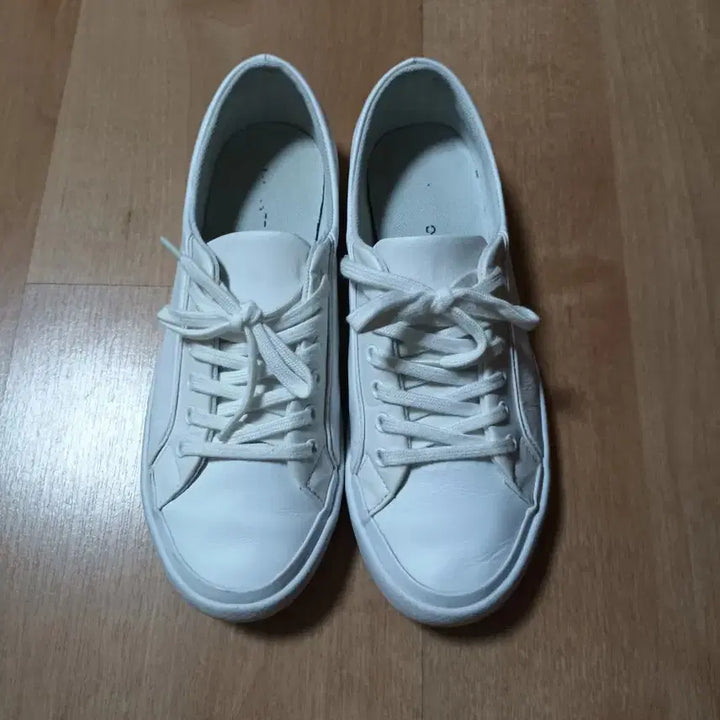 [BUNJANG] Lacoste White Sneakers / 라코스테 스니커즈 225