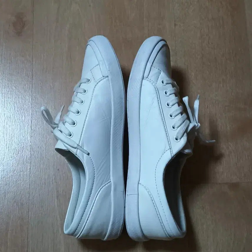 [BUNJANG] Lacoste White Sneakers / 라코스테 스니커즈 225