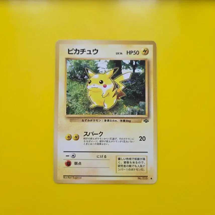 [BUNJANG] Pokemon Card 1996 Jungle Pikachu Japanese 1st Edition / 포켓몬카드 1996 정글 피카츄 일판 일본판 초판