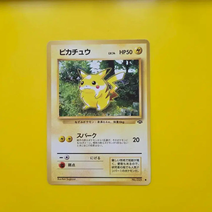 [BUNJANG] Pokemon Card 1996 Jungle Pikachu Japanese 1st Edition / 포켓몬카드 1996 정글 피카츄 일판 일본판 초판