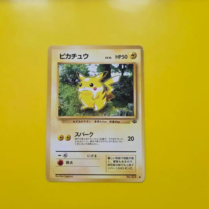 [BUNJANG] Pokemon Card 1996 Jungle Pikachu Japanese 1st Edition / 포켓몬카드 1996 정글 피카츄 일판 일본판 초판