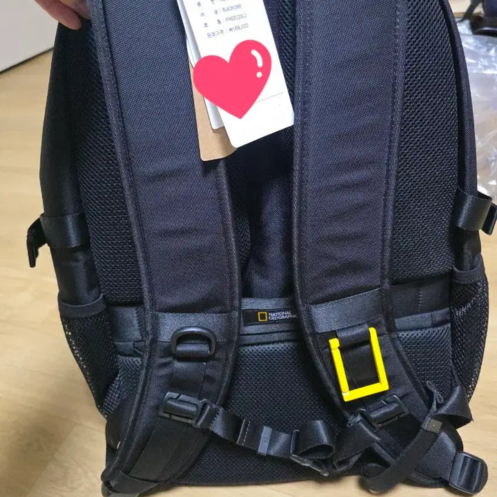 [BUNJANG] National Geographic Backpack / 내셔널지오그래픽 백팩
