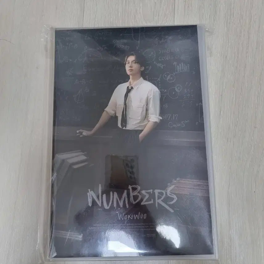 [BUNJANG] SEVENTEEN Wonwoo Birthday Version 4 Photocard / 원우 생박 버전 4 급처